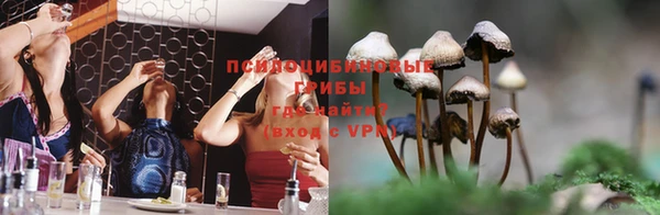 стаф Абинск