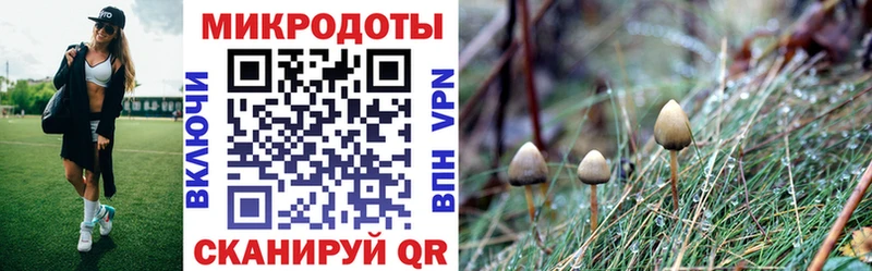 Галлюциногенные грибы MAGIC MUSHROOMS  цена наркотик  Брюховецкая 