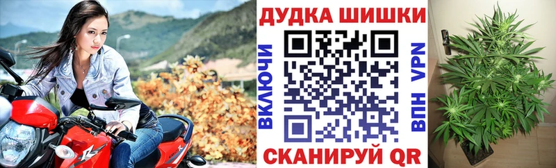 Шишки марихуана планчик  Брюховецкая 